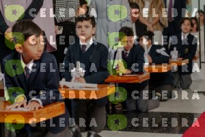 _GRA3377